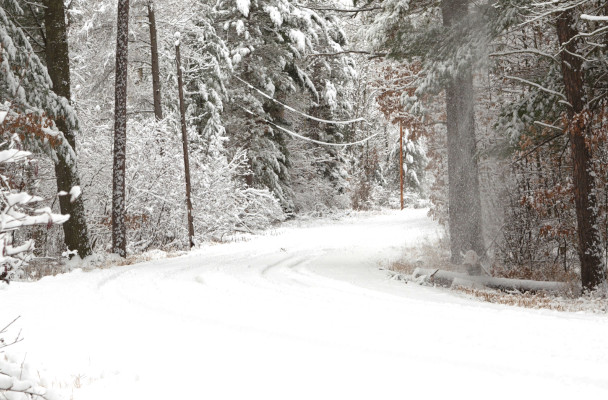 Land Grading Services Sparta, WI